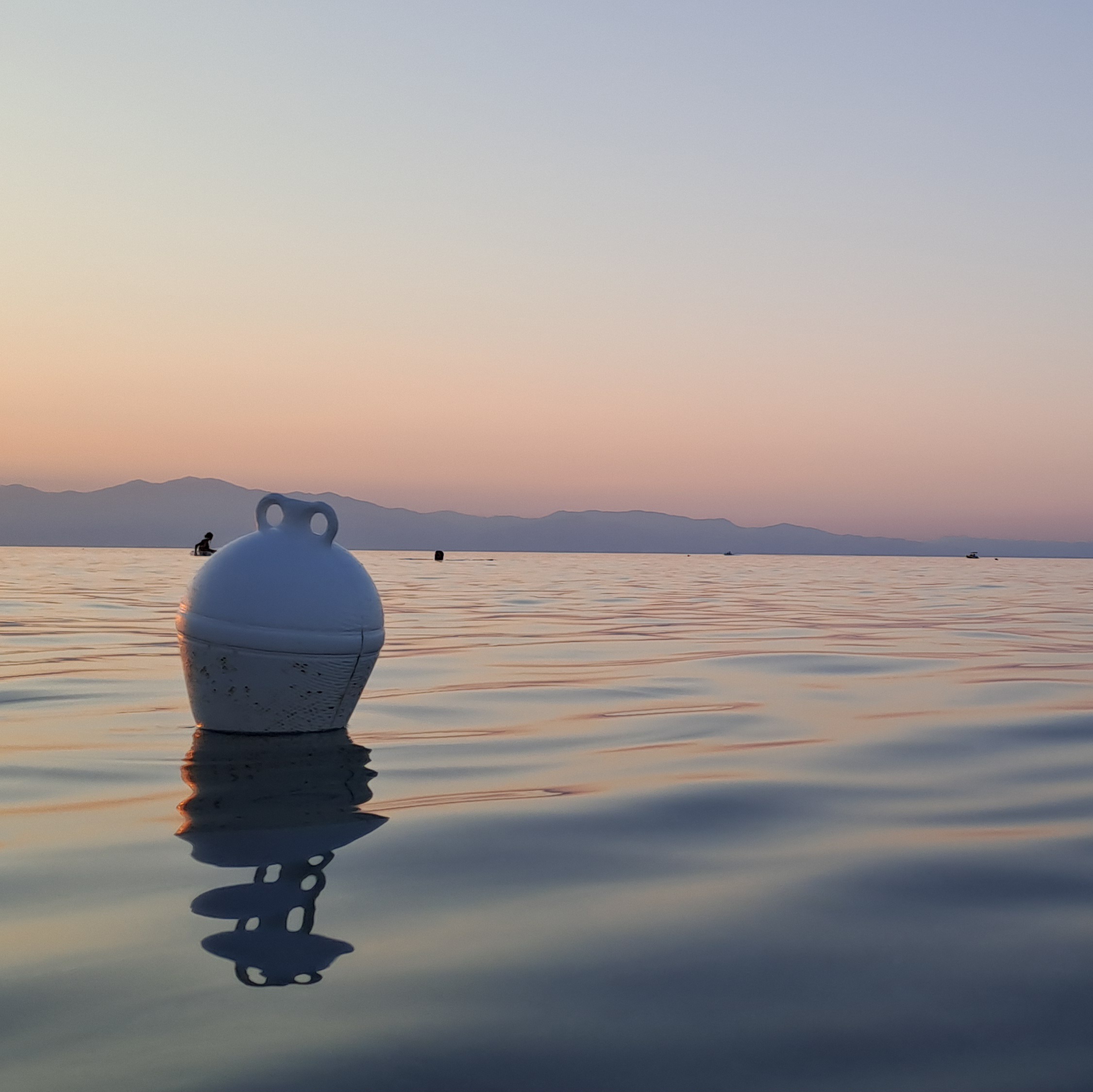 Boa nel mare al calare della sera